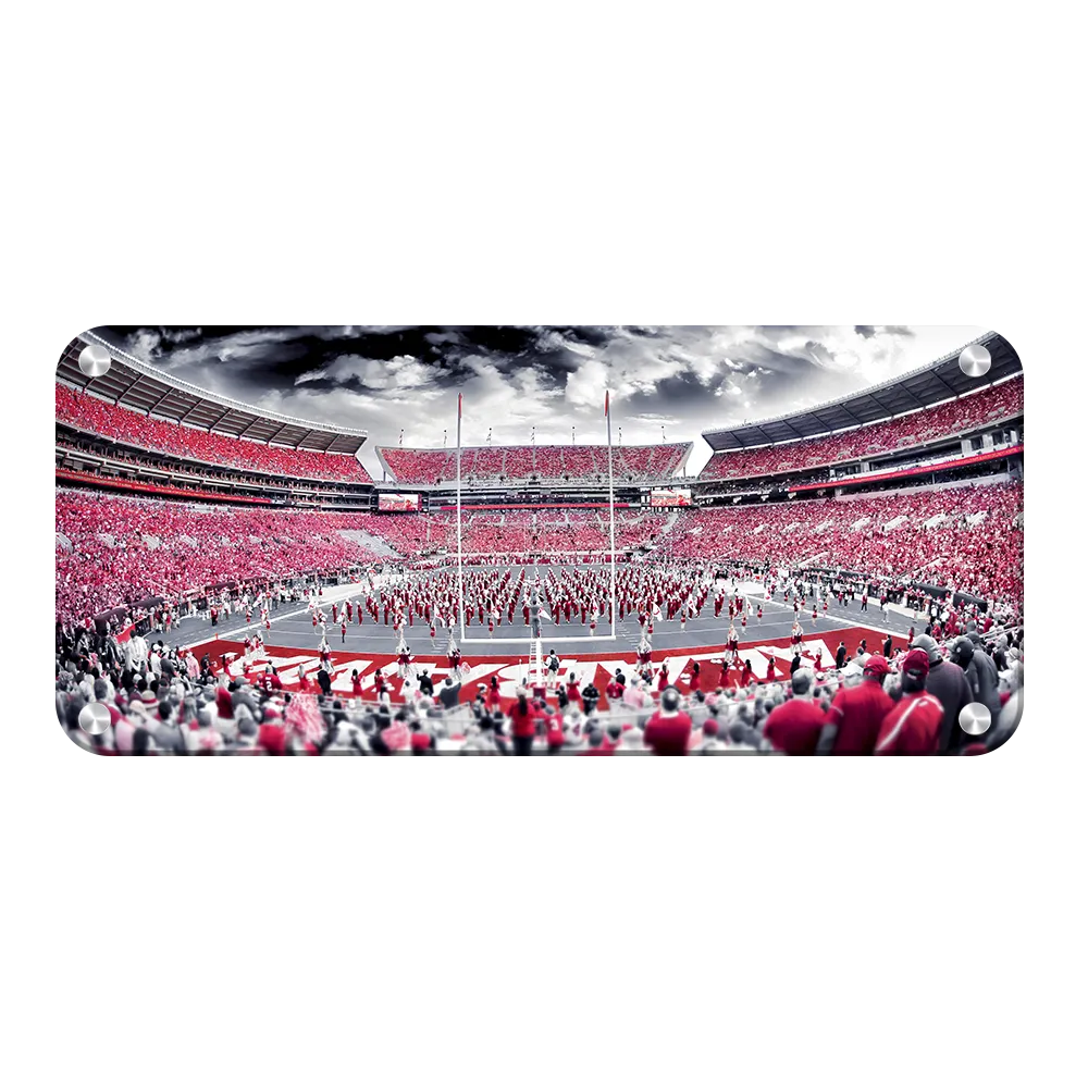 Alabama Crimson Tide - Bryant-Denny Monochrome Panoramic