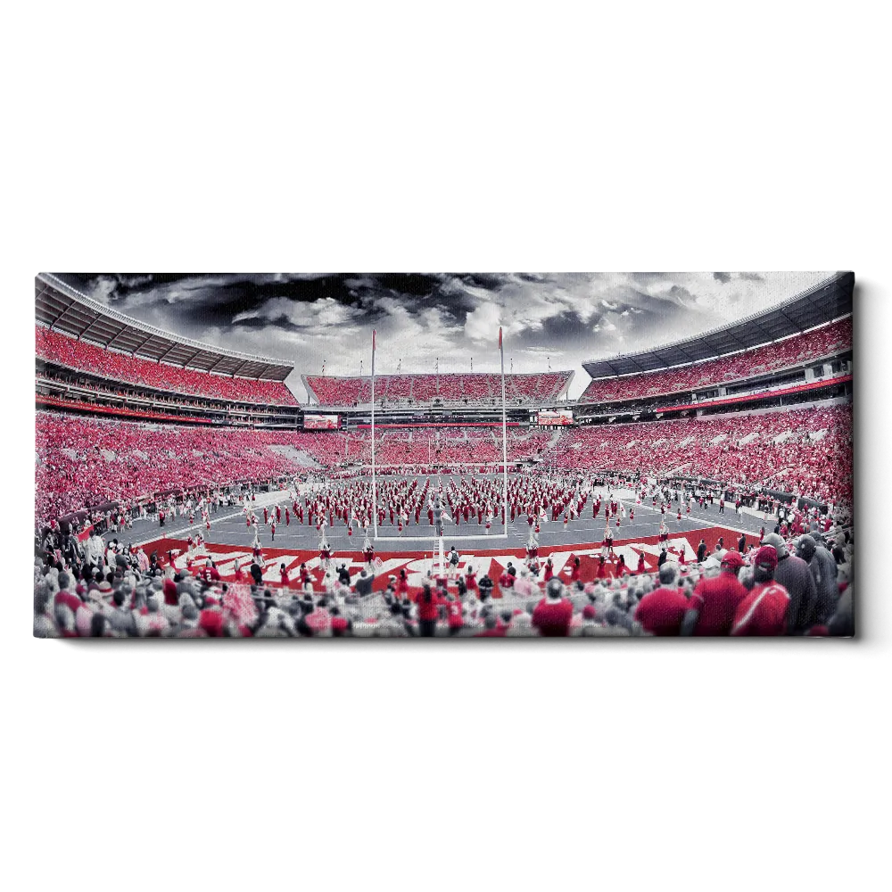 Alabama Crimson Tide - Bryant-Denny Monochrome Panoramic