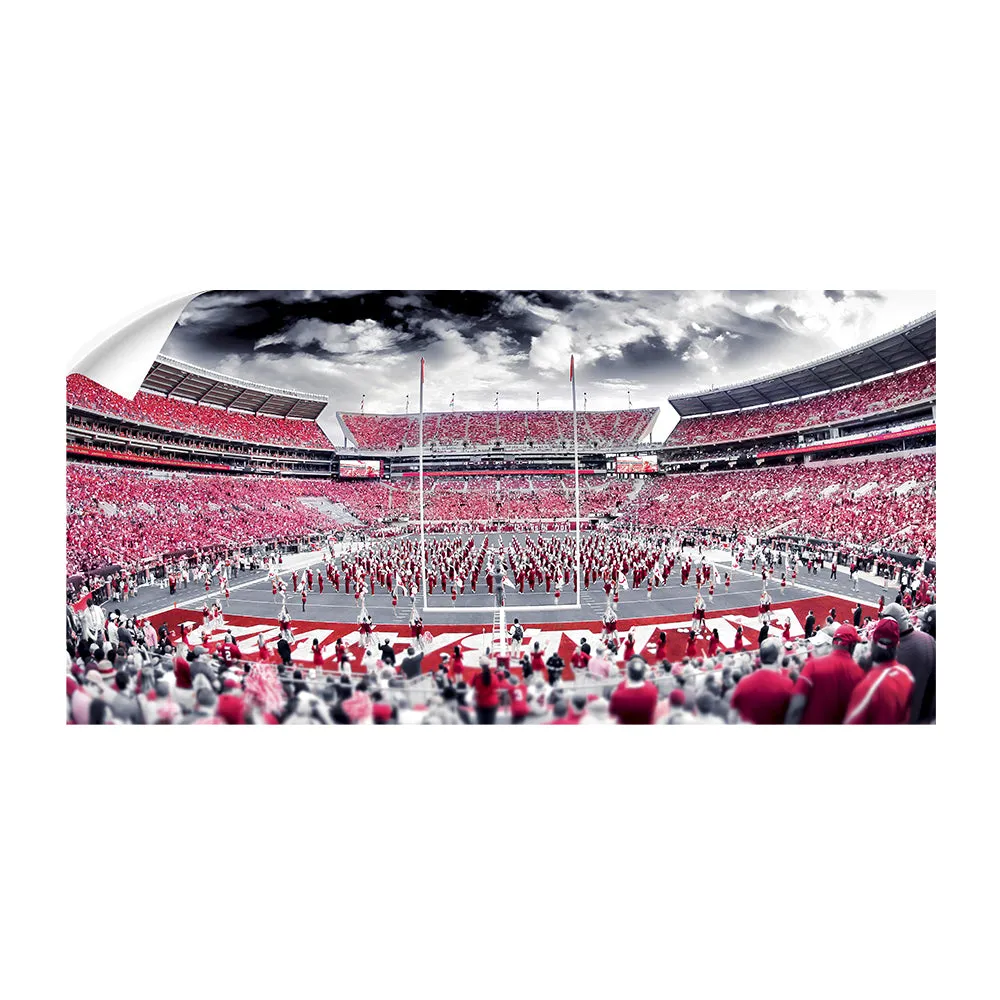 Alabama Crimson Tide - Bryant-Denny Monochrome Panoramic