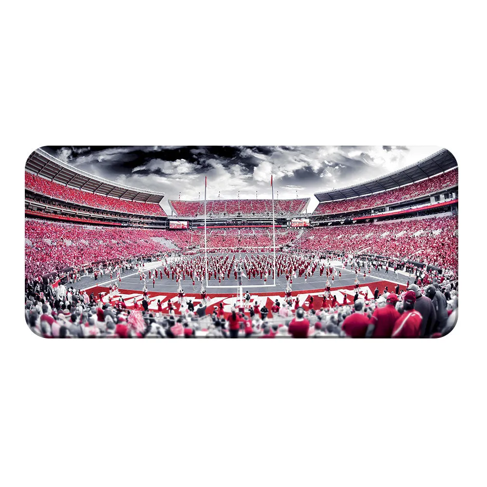 Alabama Crimson Tide - Bryant-Denny Monochrome Panoramic