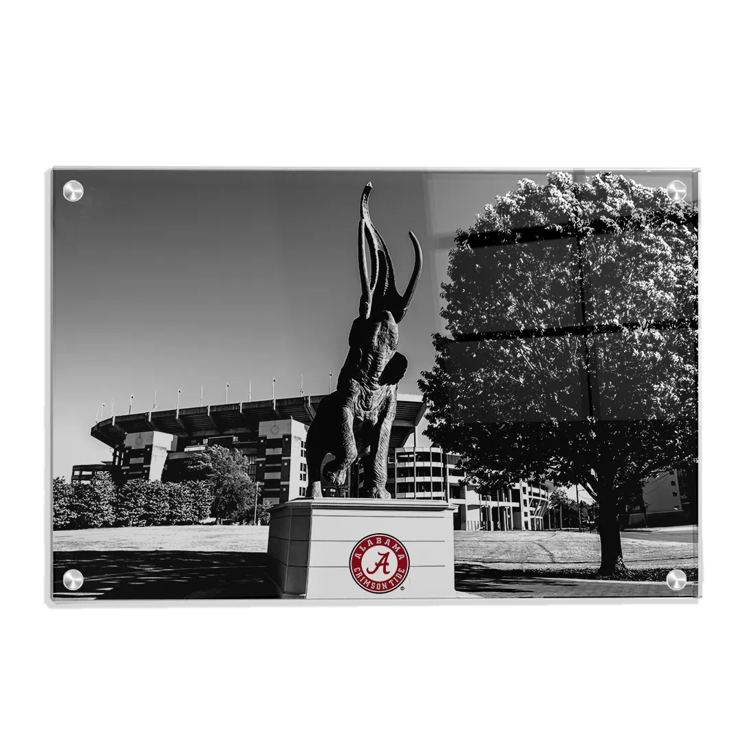 Alabama Crimson Tide - Tuska