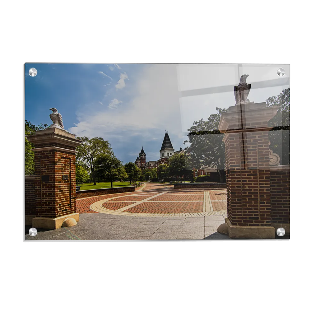 Auburn Tigers - Grand Entrance