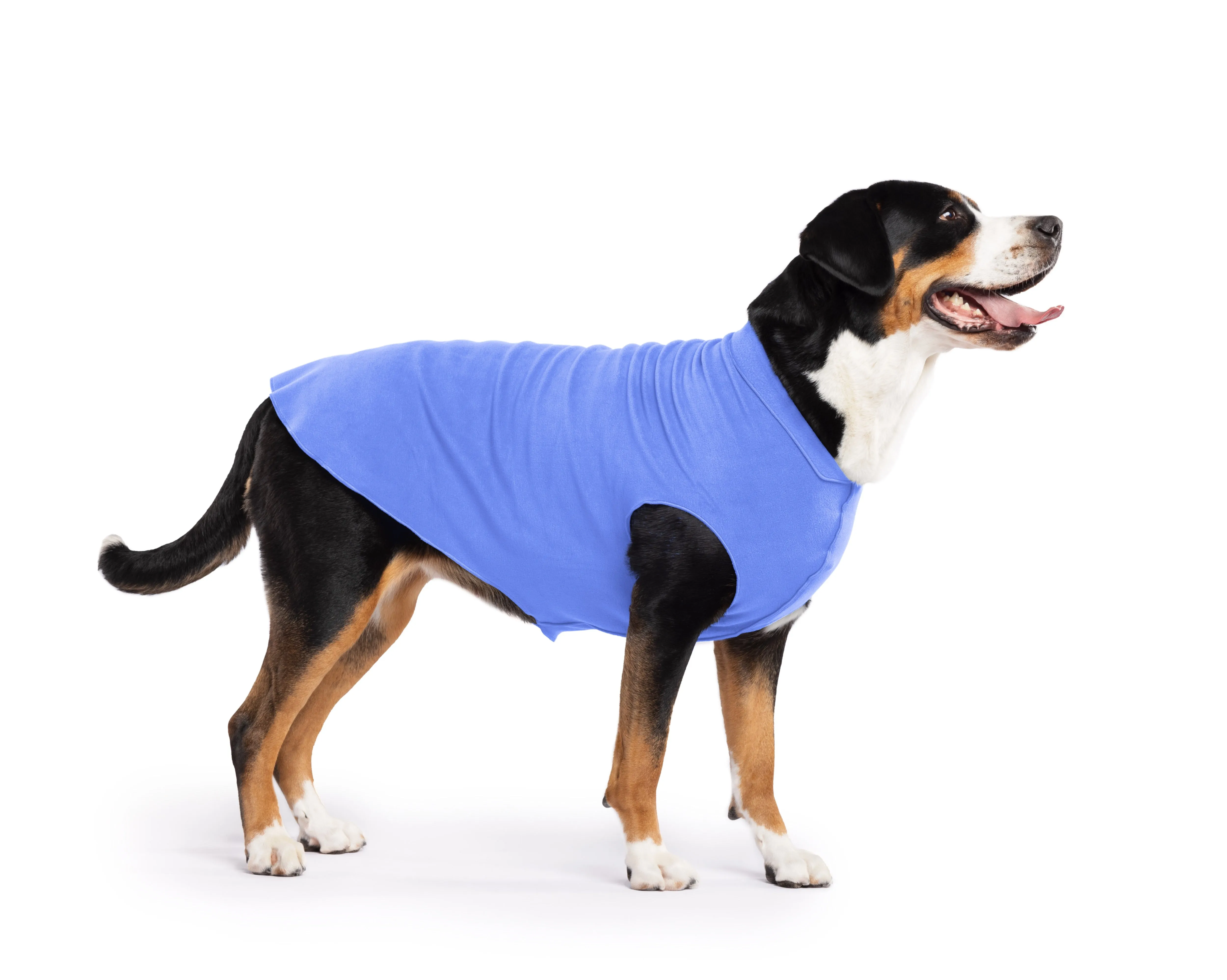 cornflower blue stretch fleece