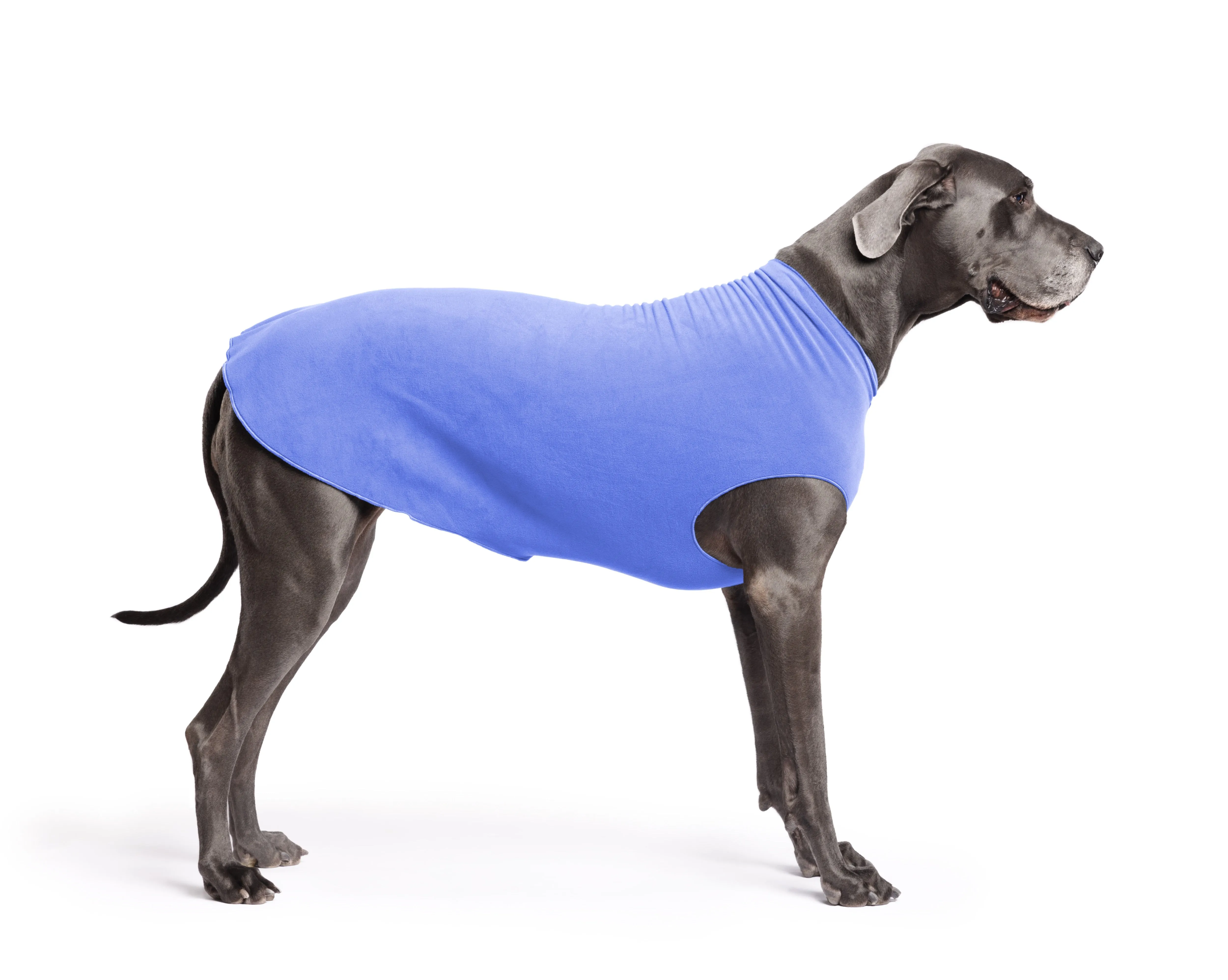 cornflower blue stretch fleece