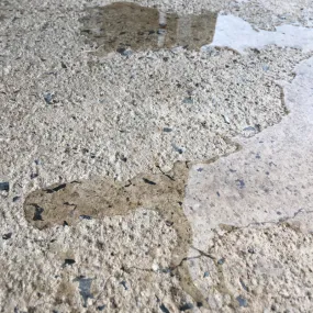 ECOS Paints - Concrete Sealer