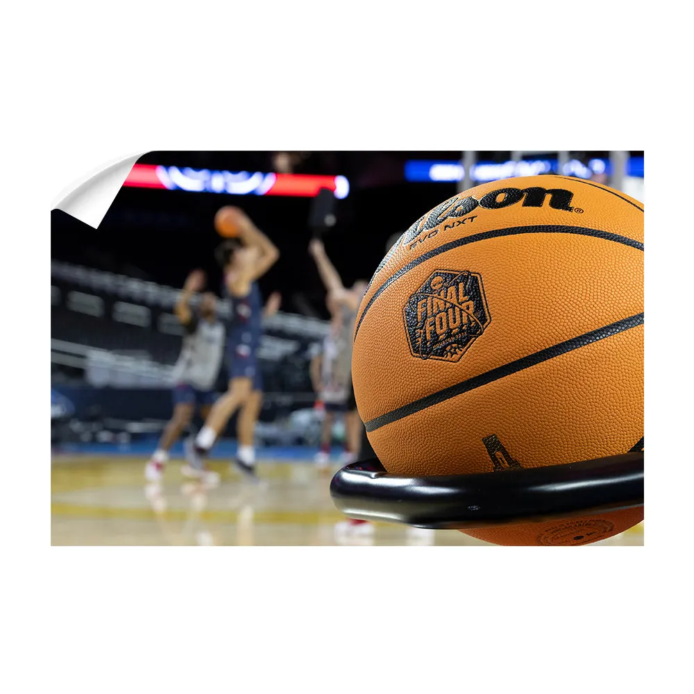 Florida Atlantic Owls - FAU Final Four