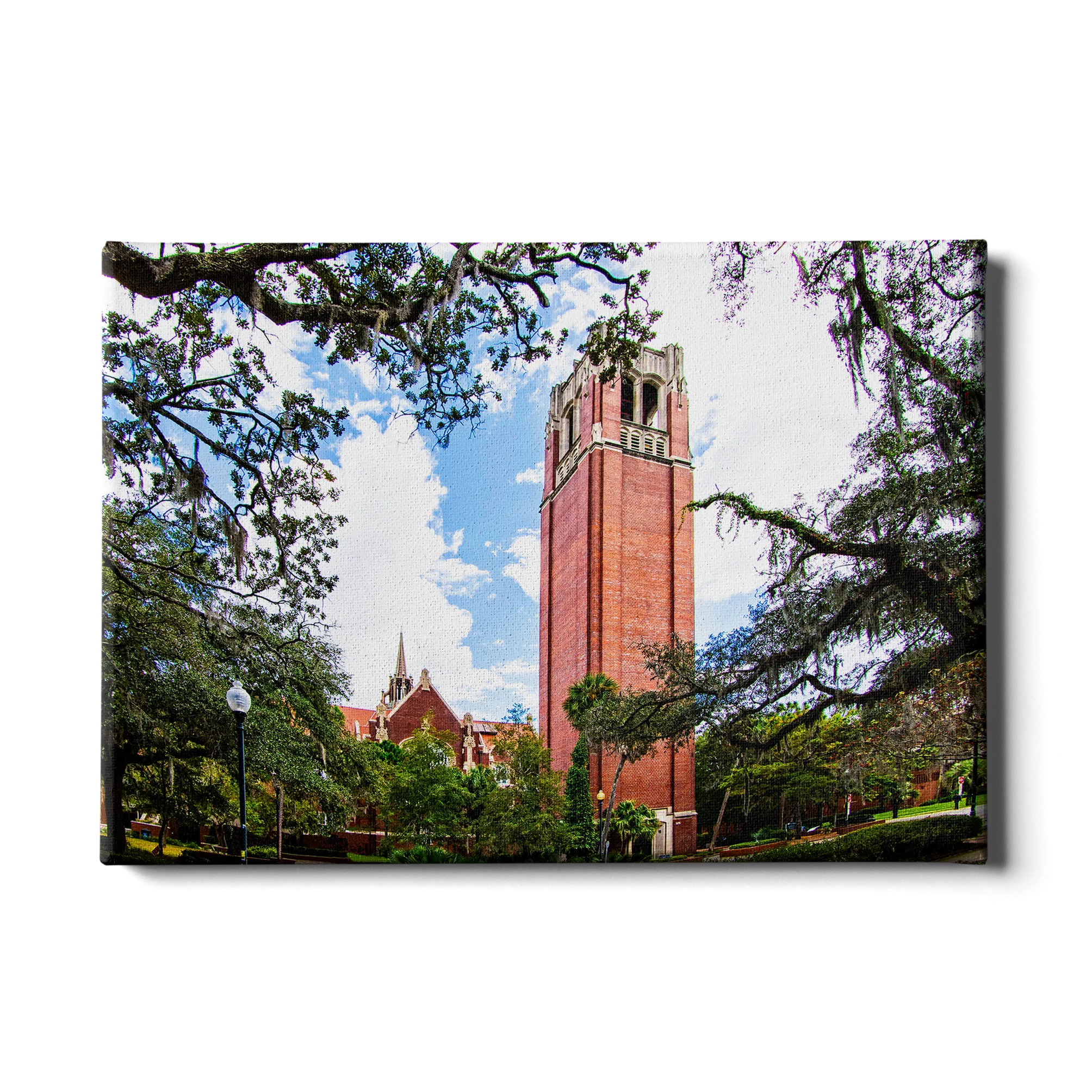 Florida Gators - Century Tower