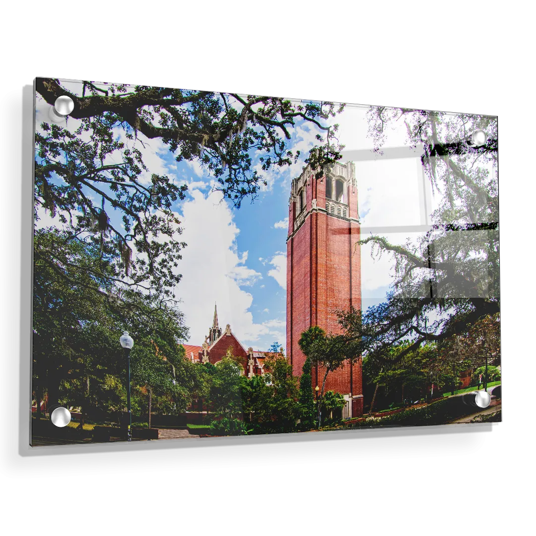 Florida Gators - Century Tower