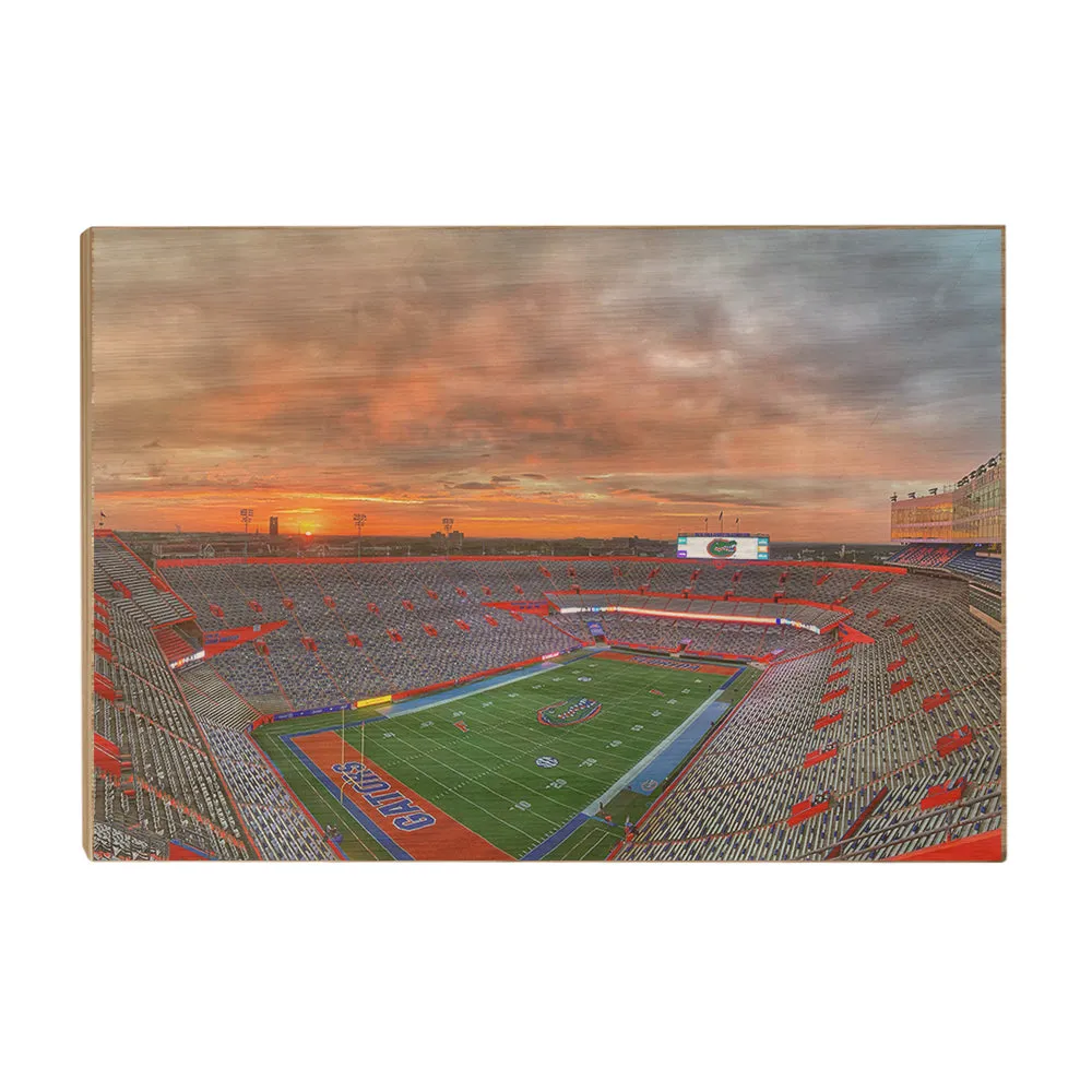 Florida Gators - Gator Sunrise