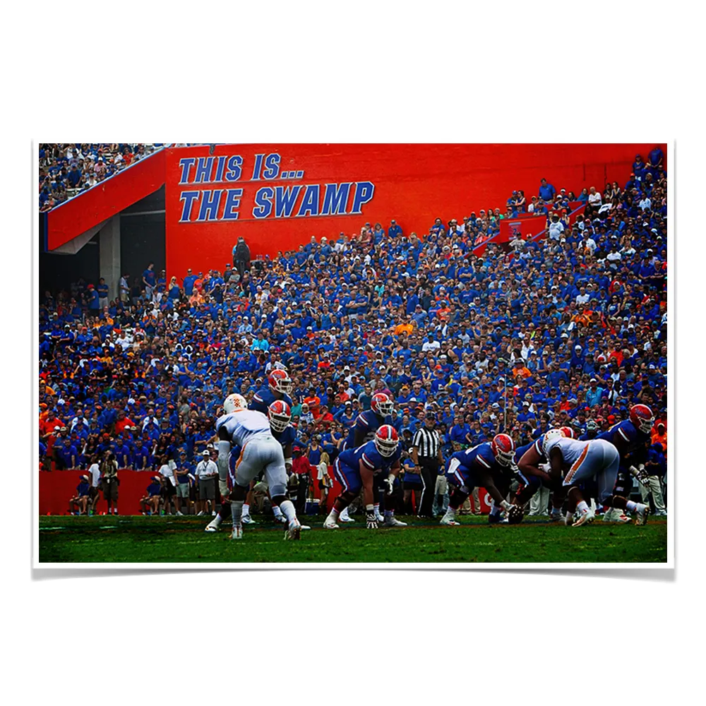 Florida Gators - In the Swamp