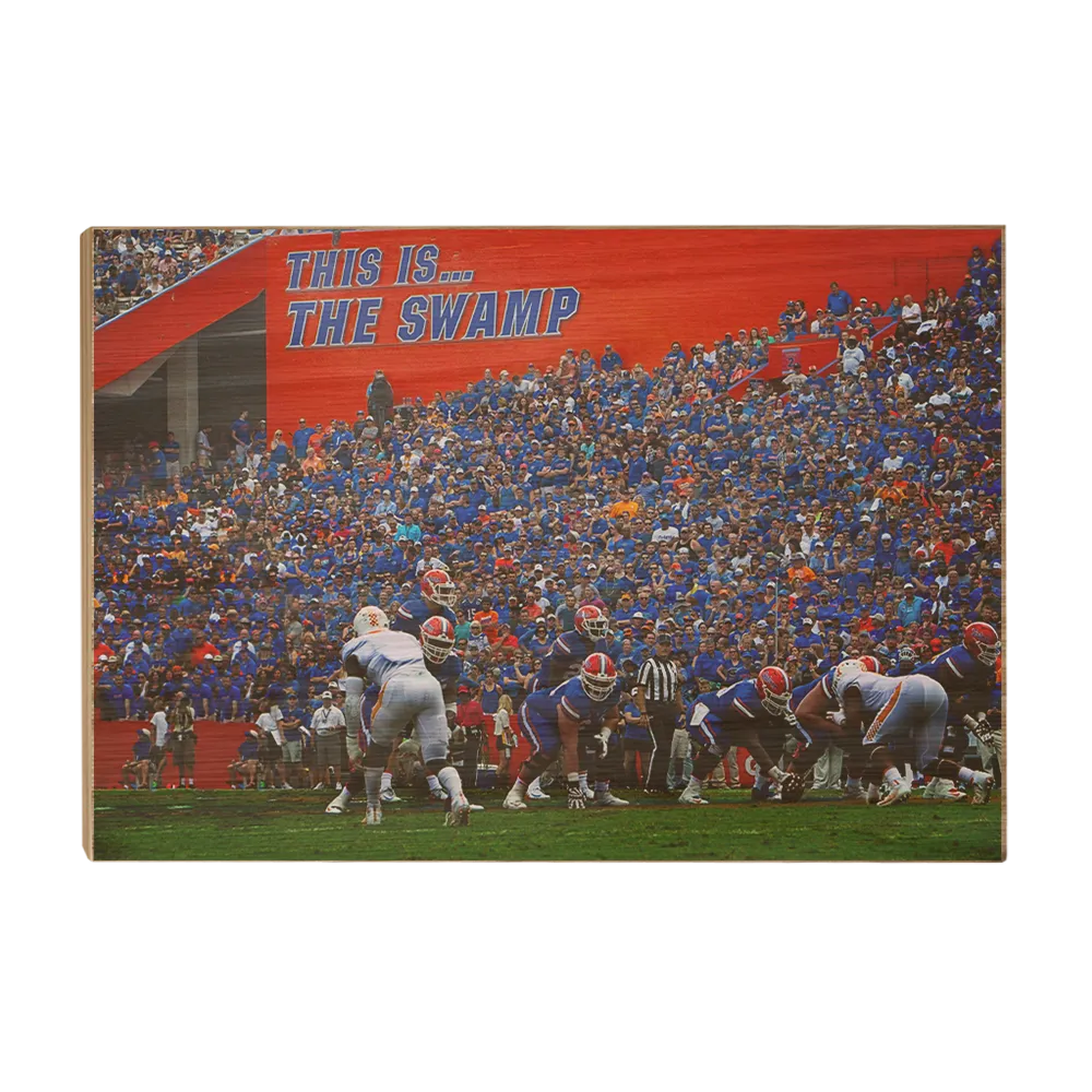 Florida Gators - In the Swamp