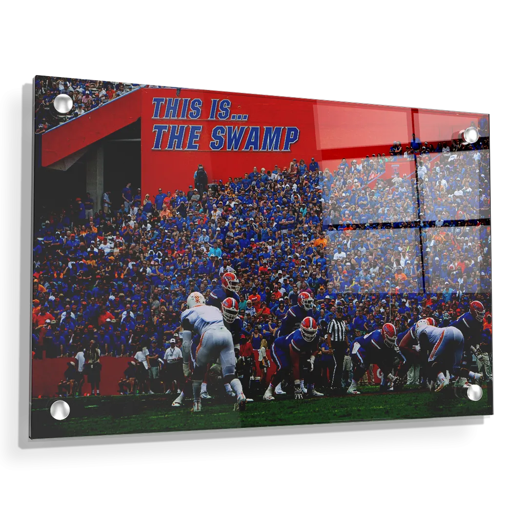 Florida Gators - In the Swamp