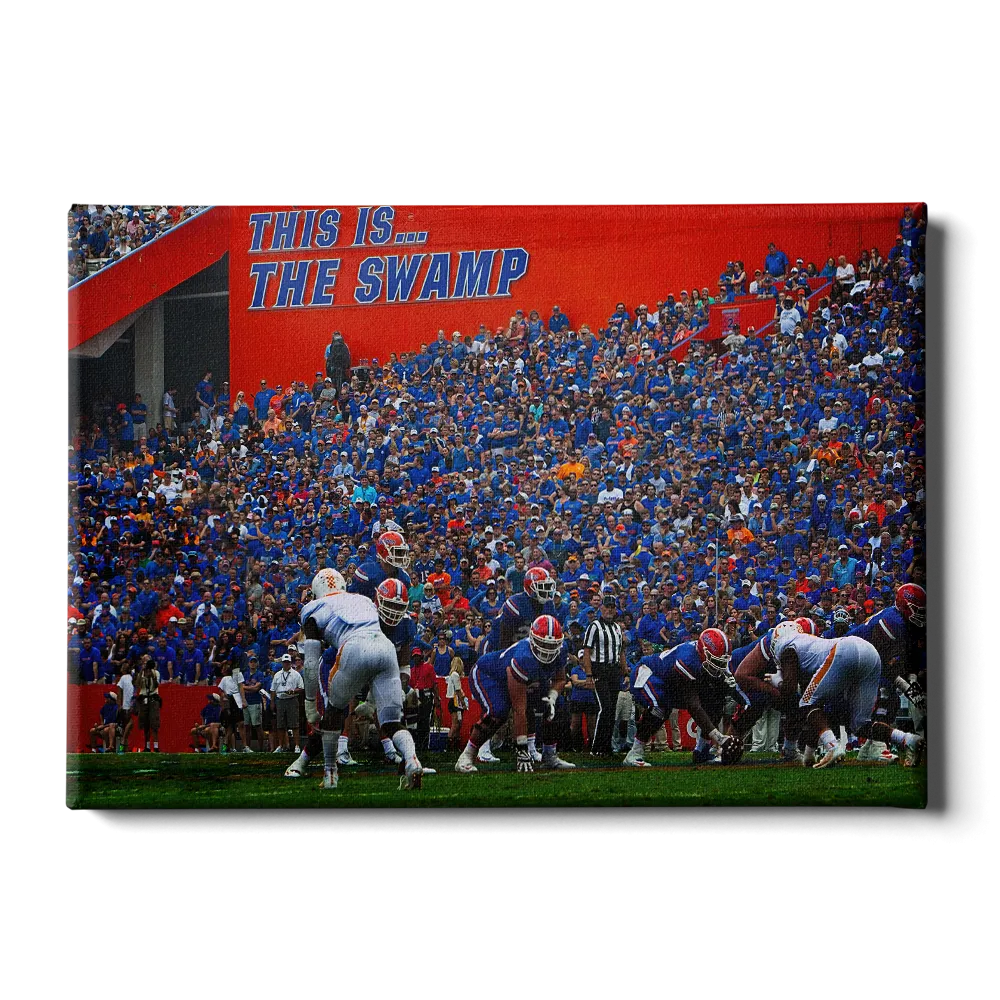 Florida Gators - In the Swamp