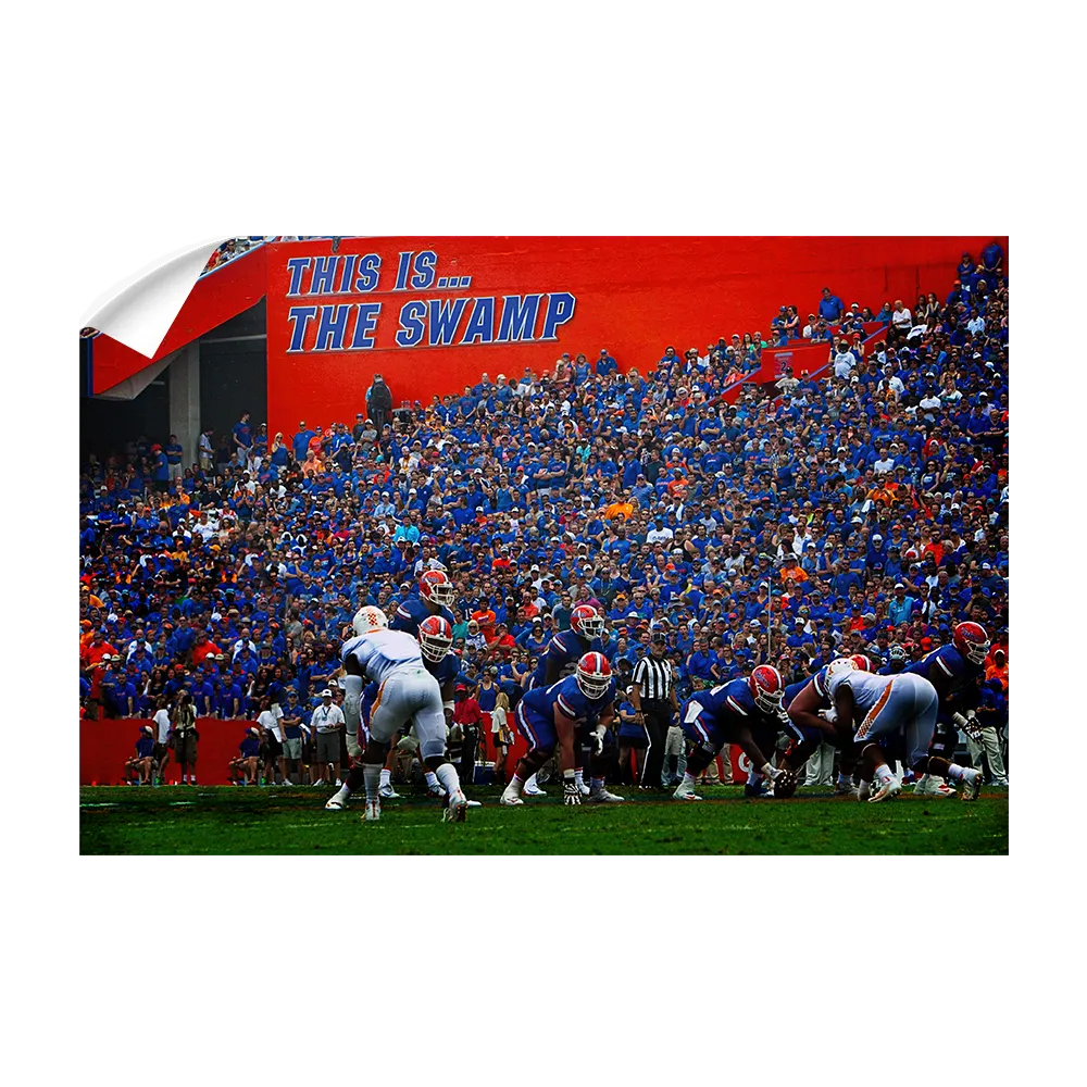 Florida Gators - In the Swamp