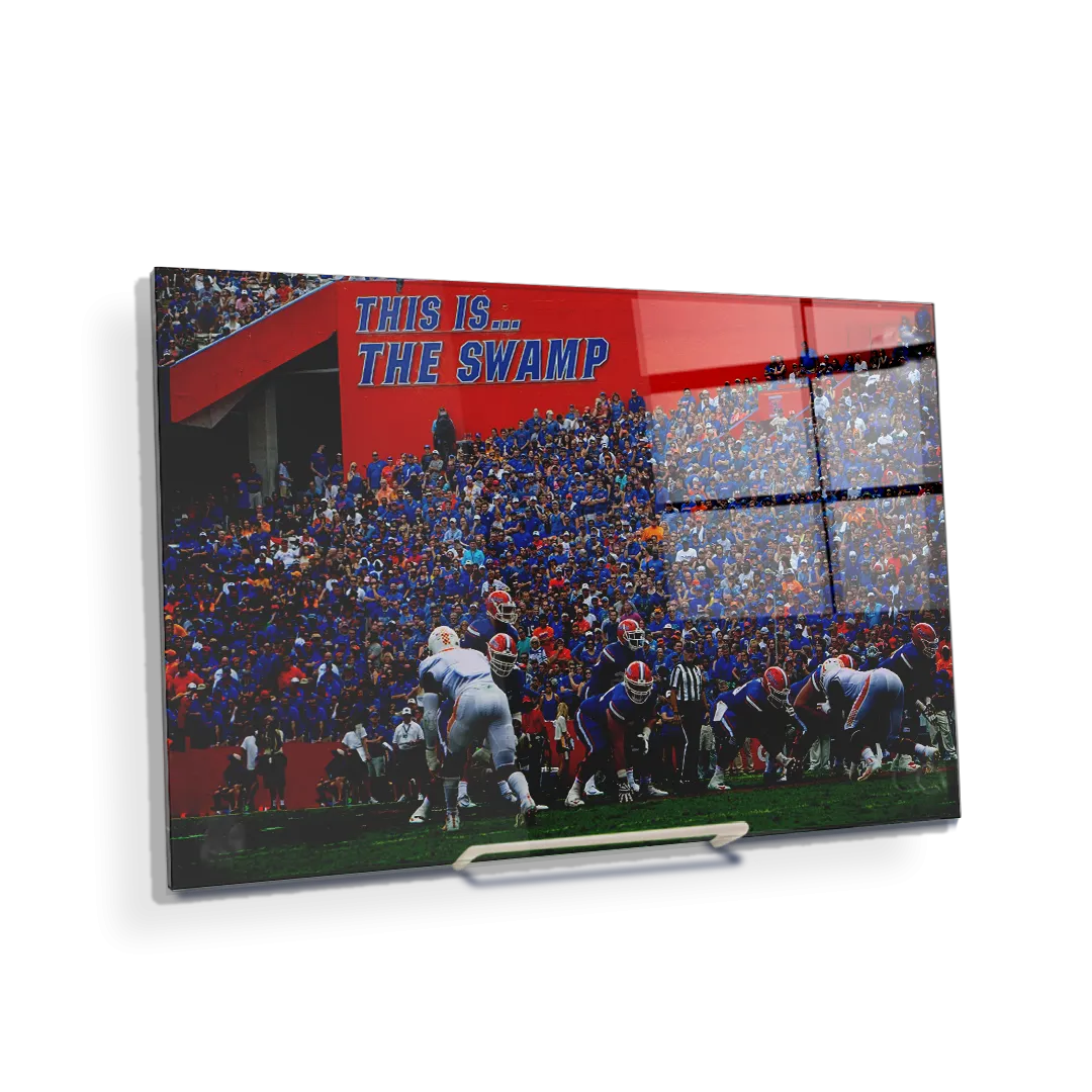 Florida Gators - In the Swamp