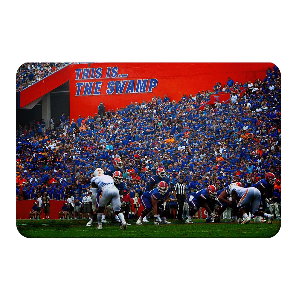 Florida Gators - In the Swamp