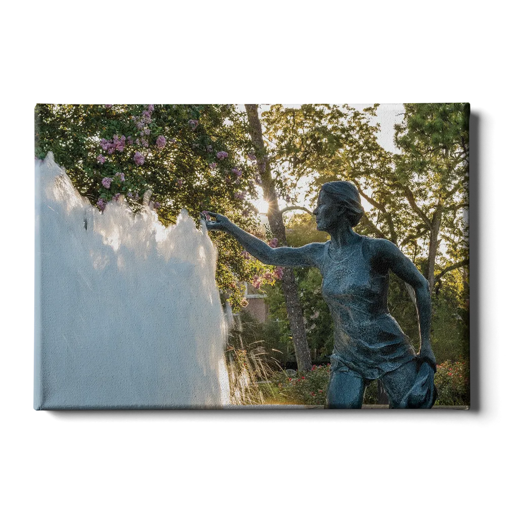 Florida State Seminoles - Landis Fountain Sunrise
