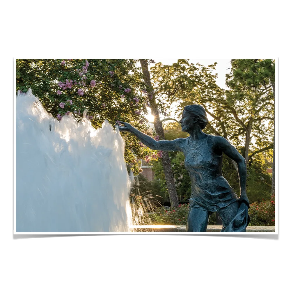 Florida State Seminoles - Landis Fountain Sunrise