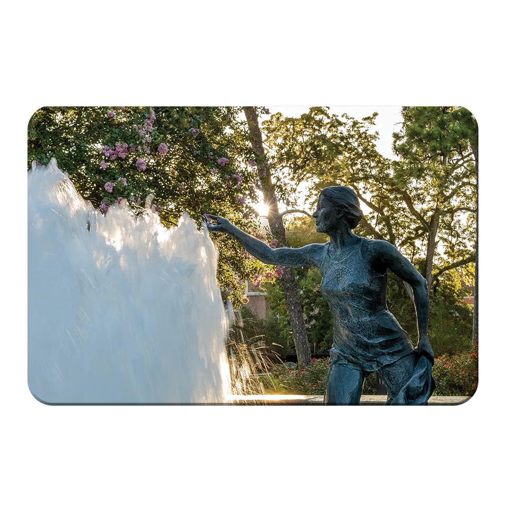 Florida State Seminoles - Landis Fountain Sunrise