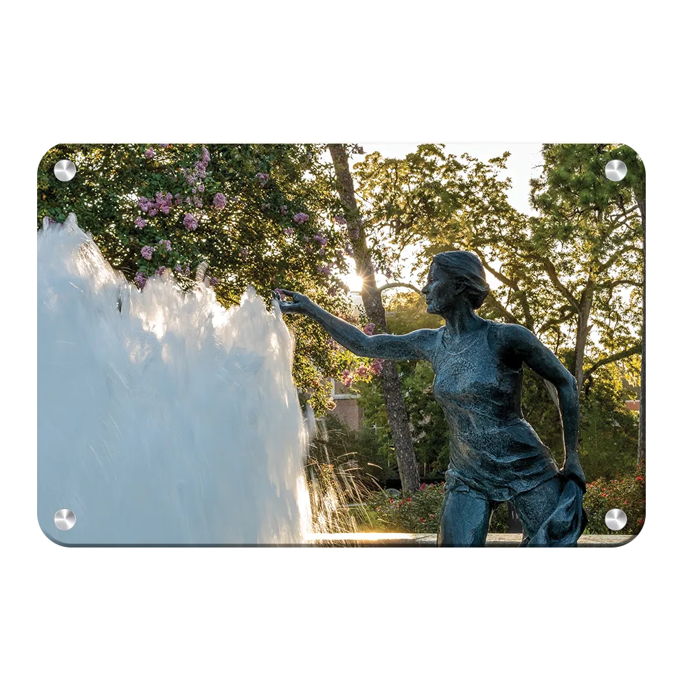 Florida State Seminoles - Landis Fountain Sunrise