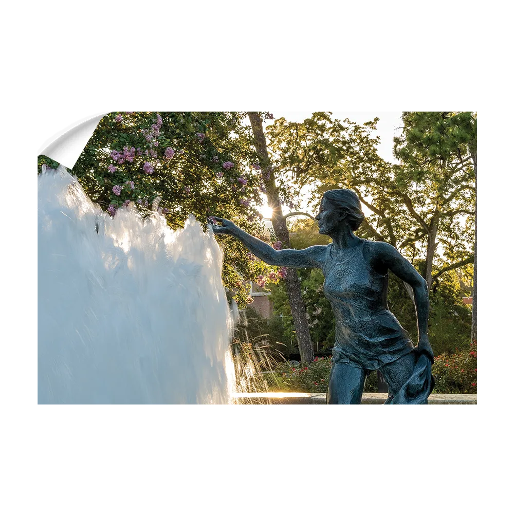Florida State Seminoles - Landis Fountain Sunrise