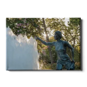 Florida State Seminoles - Landis Fountain Sunrise