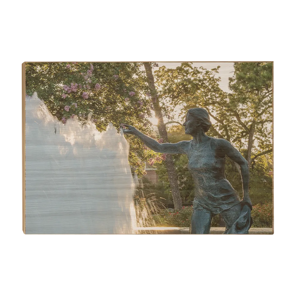Florida State Seminoles - Landis Fountain Sunrise