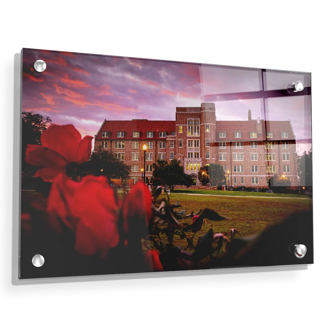 Florida State Seminoles - Red Sunrise Over Landis