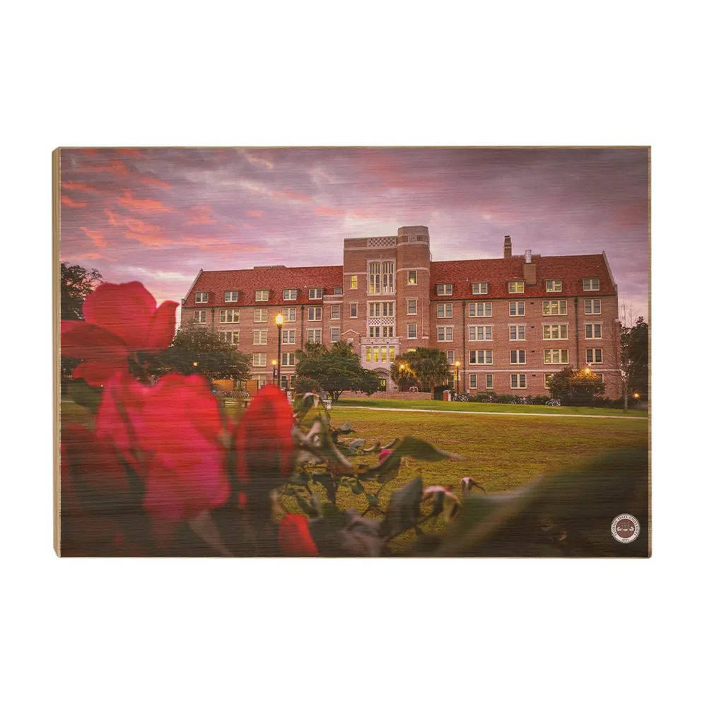 Florida State Seminoles - Red Sunrise Over Landis