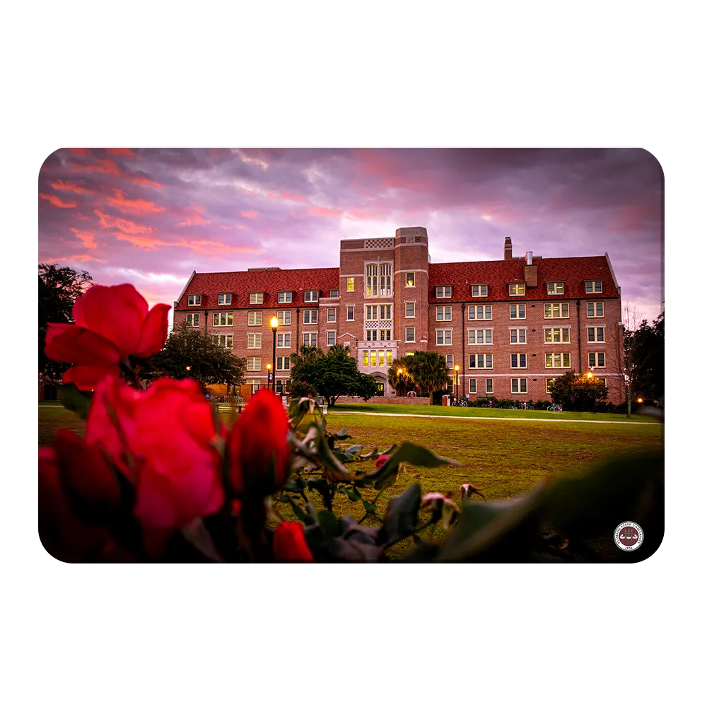 Florida State Seminoles - Red Sunrise Over Landis