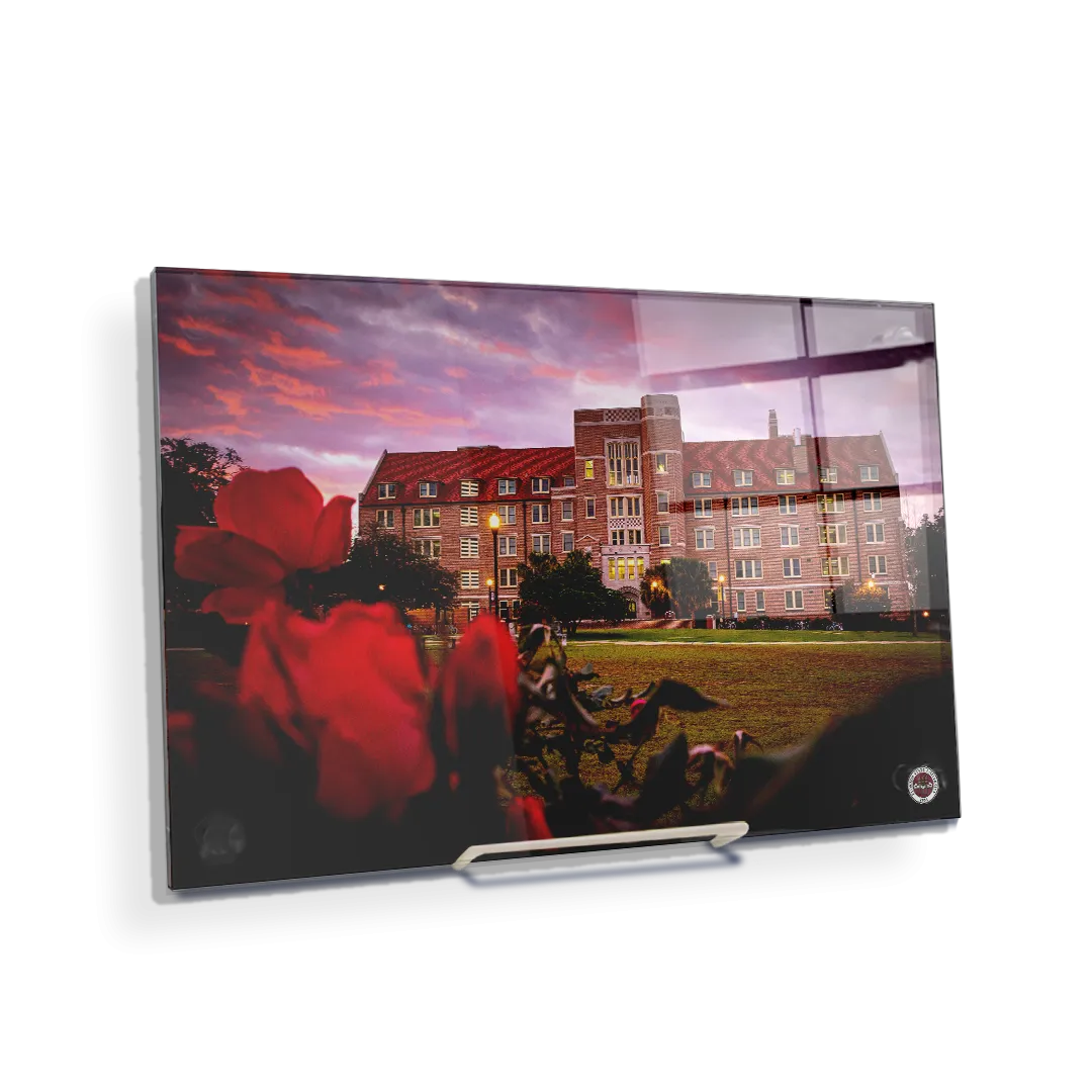 Florida State Seminoles - Red Sunrise Over Landis