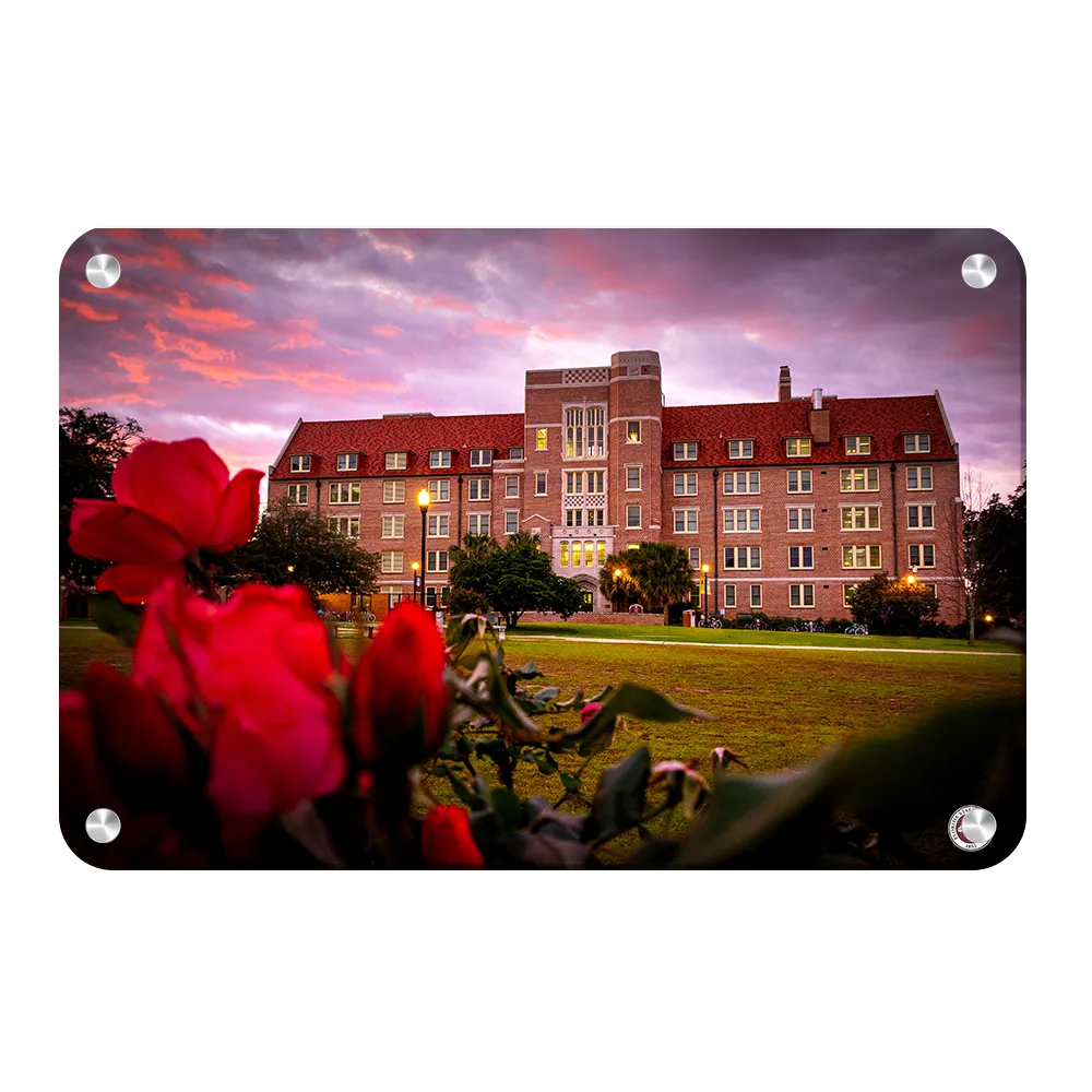 Florida State Seminoles - Red Sunrise Over Landis