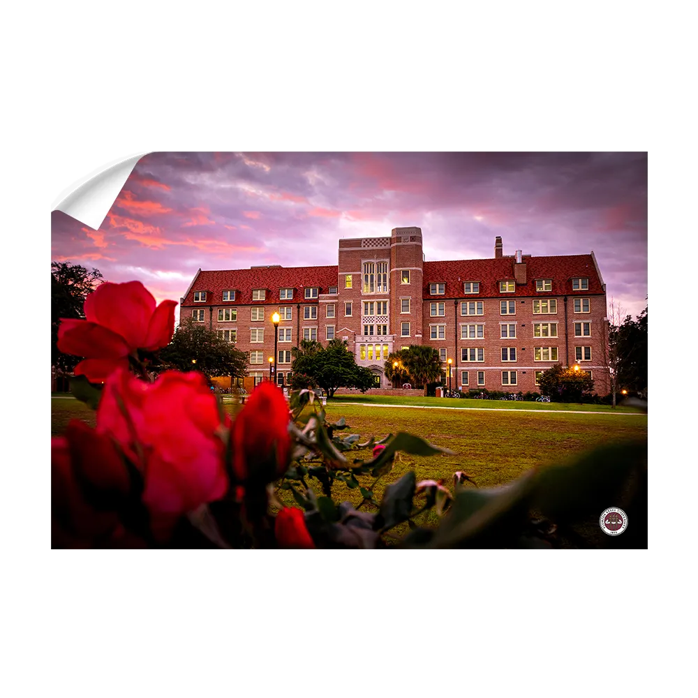 Florida State Seminoles - Red Sunrise Over Landis