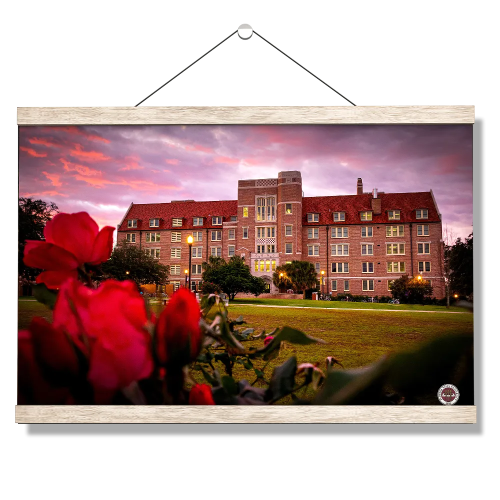 Florida State Seminoles - Red Sunrise Over Landis