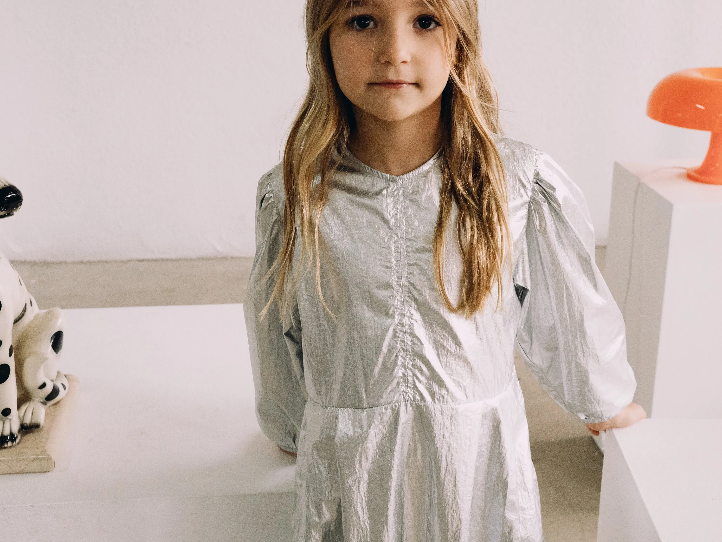Metalic Dress in Silver Metalic