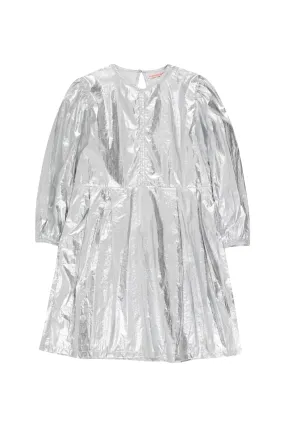 Metalic Dress in Silver Metalic