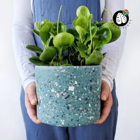 Terrazzo Pot - Nereida