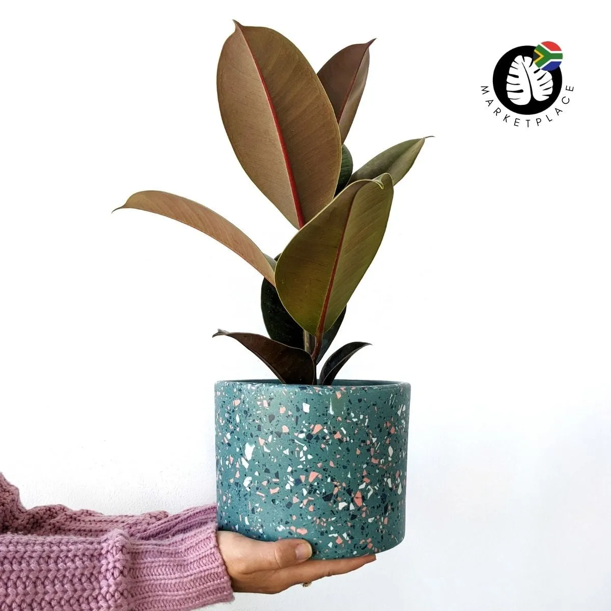 Terrazzo Pot - Nereida