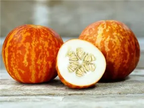 Tigger Melon - ORGANIC - Heirloom Vegetable - 20 Seeds